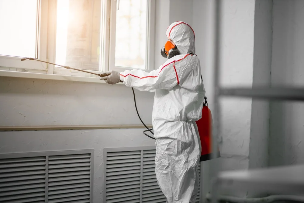 Professional mold remediation services in Hondo, TX